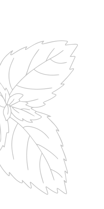 Листок